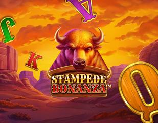 Stampede Bonanza_image_Booming Games