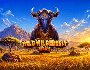 Wild Wildebeest Wins_image_PragmaticPlay