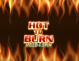 Hot to Burn Hold and Spin_image_PragmaticPlay